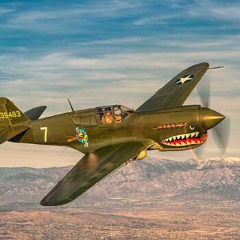 Curtiss P-40E-1 Warhawk (In Flight)